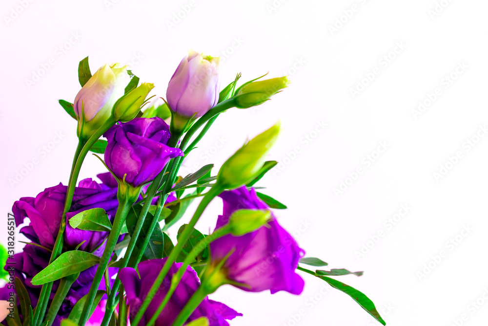 Beautiful bouquet on a white isolated background. 8 March Women's Day.