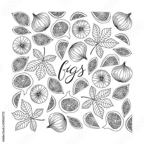 Fig lettering. Hand drawn poster. Stock vector illustration.