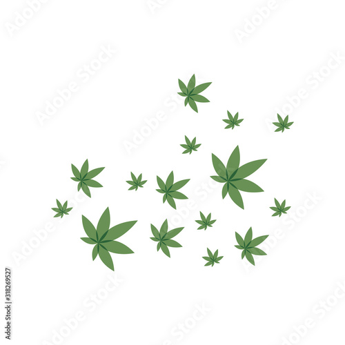 Canabis leaf vector illustration icon design