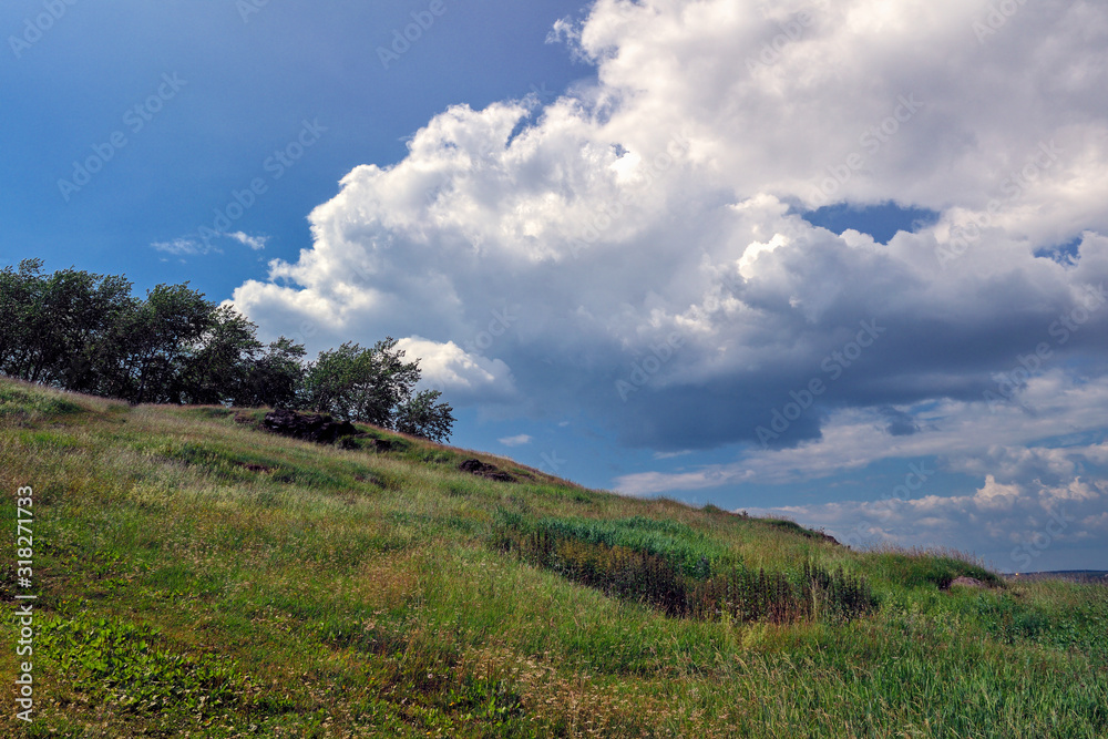 Summer landscape. Meadow with field grasses on a slope against a background of blue sky and white clouds.