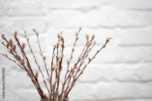 Selective focus. Willow twigs in a vase on a background of a white brick wall. Sprigs of willow with buds open.