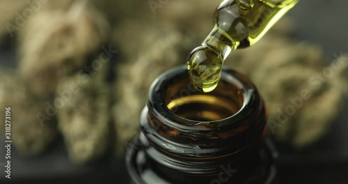 CBD Hemp oil, Hand holding droplet of Cannabis oil against Marijuana buds. Alternative Medicine. 4k slow motion photo