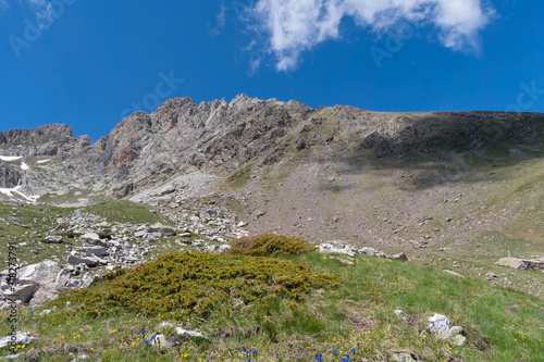 Ligurian Alps, Colle del Pas, Valley Pesio and Tanaro natural park, Piedmont region, Italy photo