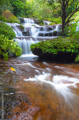 Fototapeta Naklejka Na Ścianę i Meble -  waterfall in forest