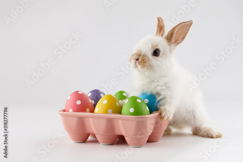 Easter bunny rabbit with colorful eggs © kobeza