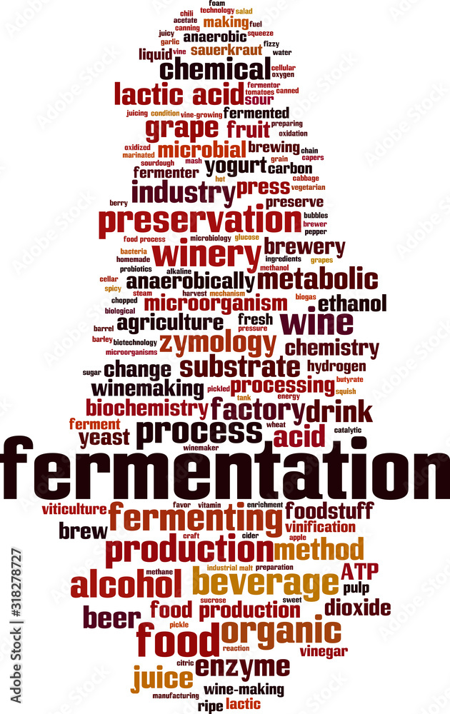 Obraz premium Fermentation word cloud
