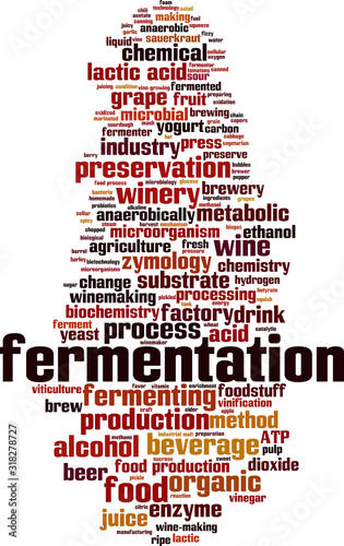 Fermentation word cloud