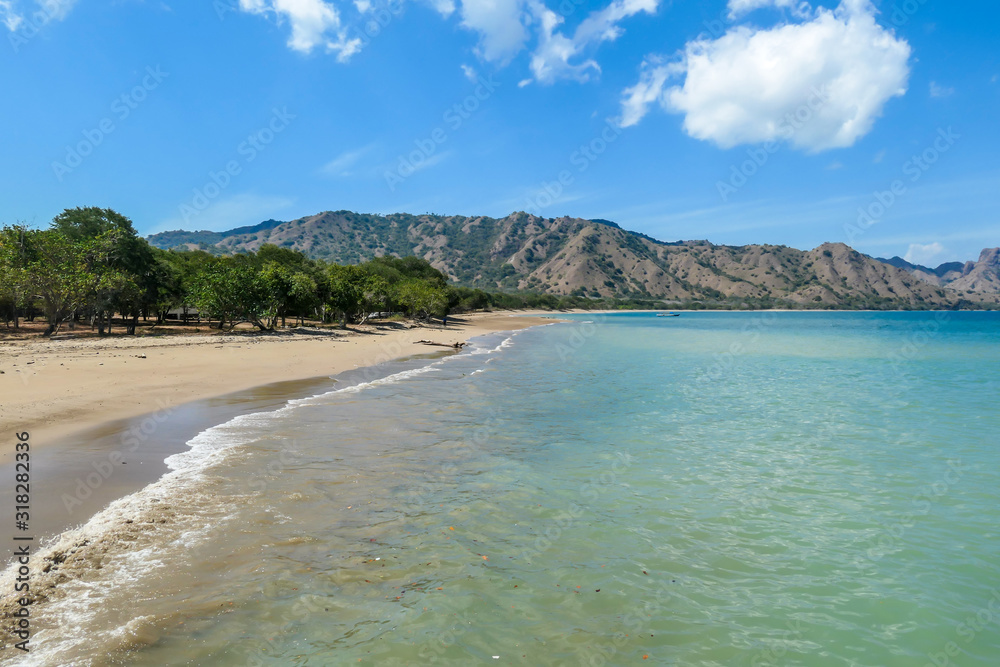 White sand beach on a volcanic island of Komodo, Indonesia. There is a wooden piece on the beach. Waves gently wash the shore. Turquoise color of the water. Idyllic island. Few trees on the beach line