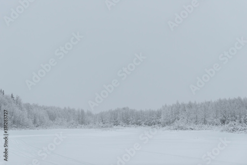 The ice lake and forest has covered with heavy snow and bad weather sky in winter season at Holiday Village Kuukiuru, Finland. © Joeahead