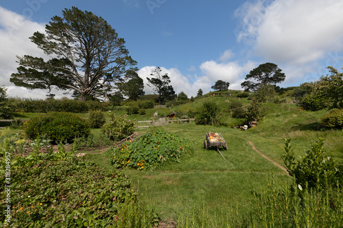 New Zeland Highlights North and South Island photo