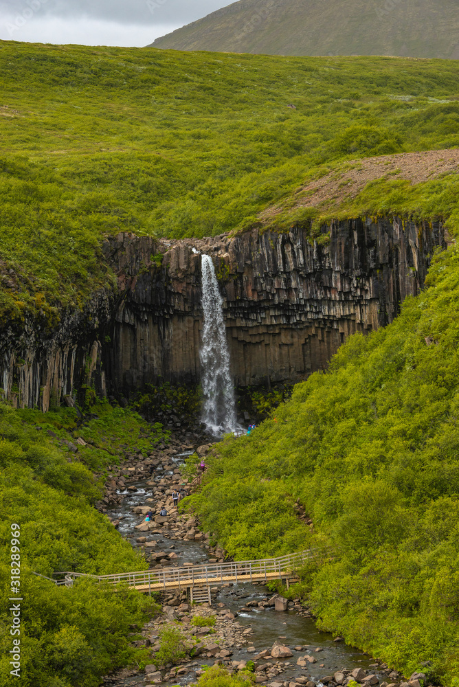 Wonderful and high Svartifoss waterfall with black basalt columns on South Iceland