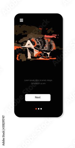 echidna running from forest fires in australia animals dying in wildfire bushfire burning trees natural disaster concept intense orange flames smartpone screen mobile app vertical vector illustration