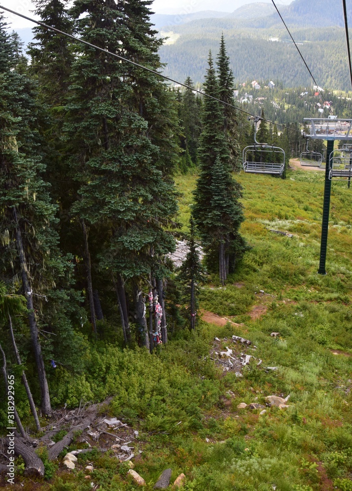 Φωτογραφία Summer chairlift view towards  the alpine village and the bra tree at Mount Wash