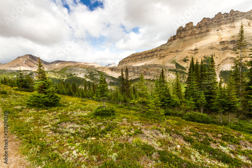 View of Dolomit Peak from the hiking trail to Helen Lake in Banff National Park, Alberta, Canada 