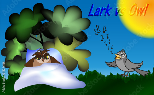 Lark vs Owl - a joyful lark sings a song to a sleepy owl on a sunny morning, vector clip art