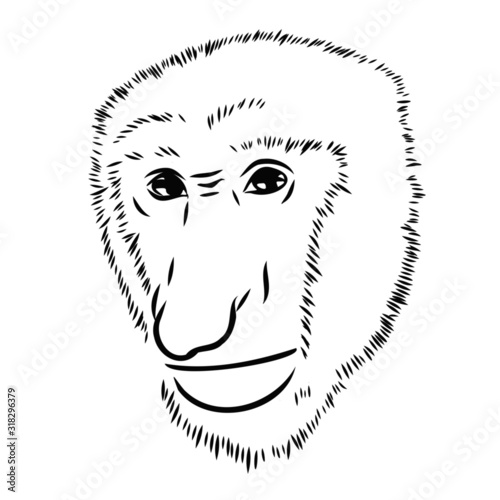 sketch of seriously monkey 