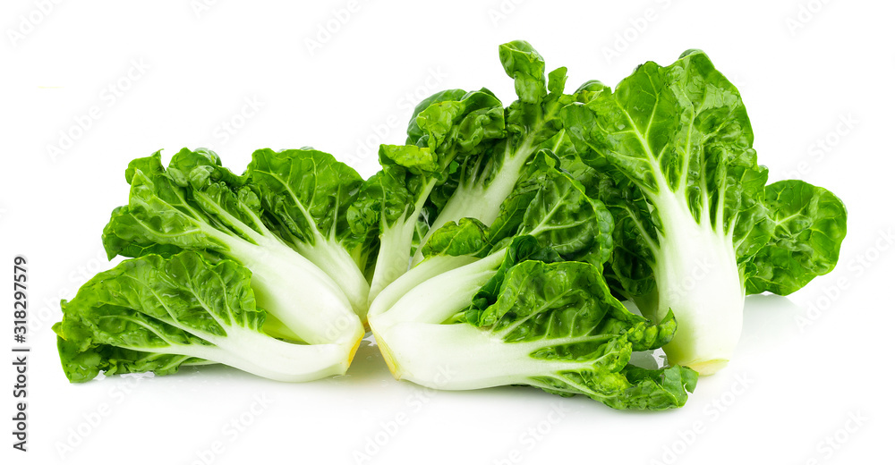 fresh baby chinese cabbage on white background fresh baby chinese cabbage on white background
