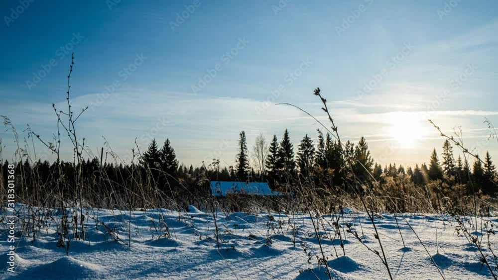 Snowfall in the winter in forest, Christmas evening with falling snow. in the christmas park, snow is falling. beautiful winter landscape. winter forest. Hyperlapse Snowfall in the winter in forest, Christmas evening with falling snow. in the christmas park, snow is falling. beautiful winter landscape. winter forest. Hyperlapse