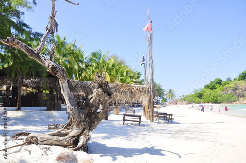 Pulau Redand perfect beach with white sand