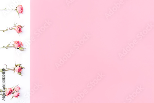 Frame of dried rose flowers on white and pink background. Flat lay, top view. Copy space for text. © Anna