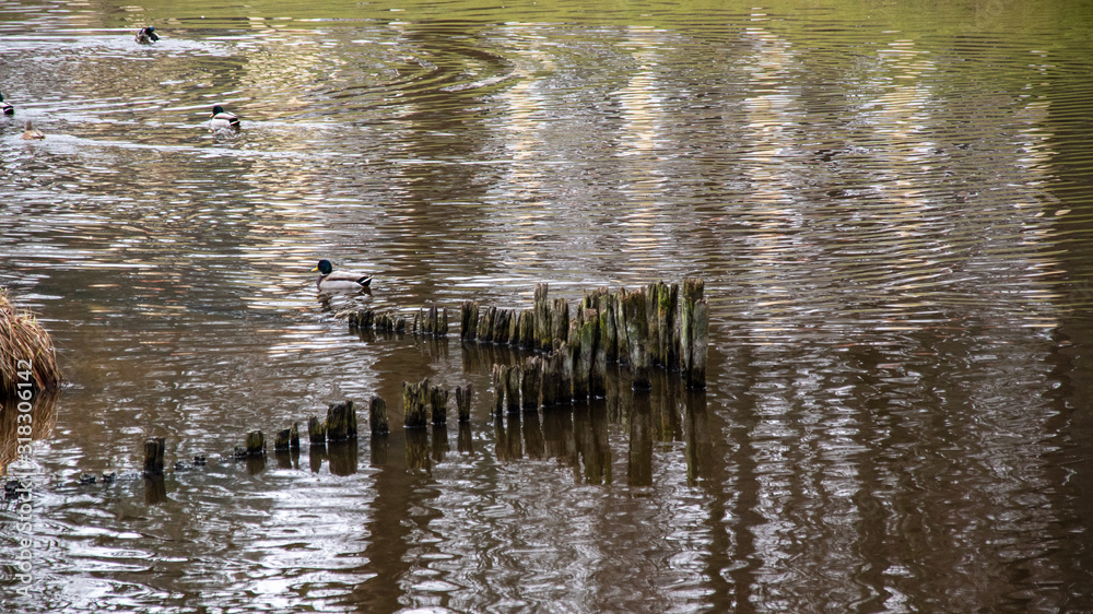 Zespół pałacowo – parkowy Branickich w Białymstoku, Wersal Podlasia, Podlasie, Polska Zespół pałacowo – parkowy Branickich w Białymstoku, Wersal Podlasia, Podlasie, Polska