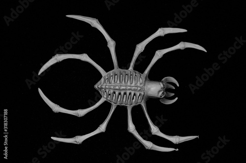 Plastic spider Logo