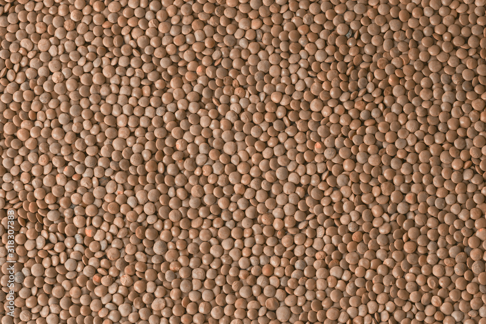 red lentil background top view. red raw lentils (filling in the picture). red lentil background top view. red raw lentils (filling in the picture).