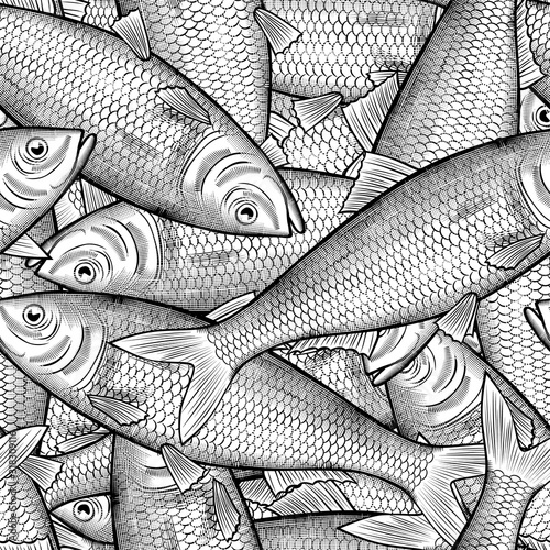 Engraved drawing of herring fish seamless pattern background photo