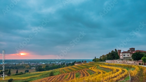 Autumn sunset in the vineyards of Collio Friulano