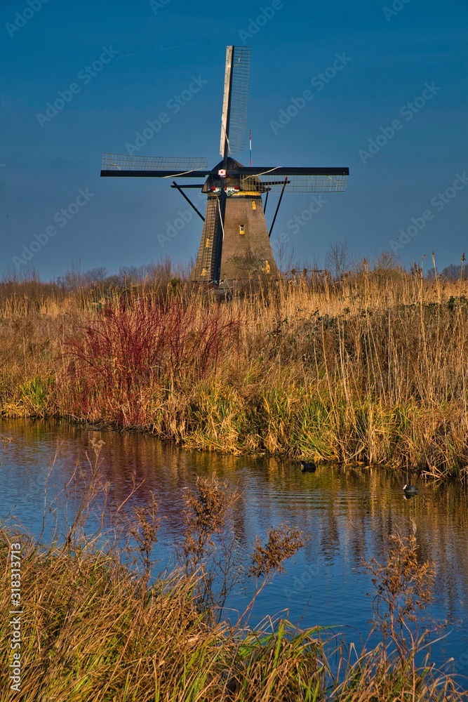 Obraz premium Dutch windmills