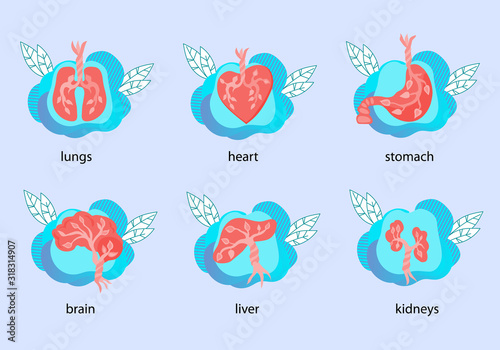 Human internal organs anatomical icons set, flat vector illustration isolated.