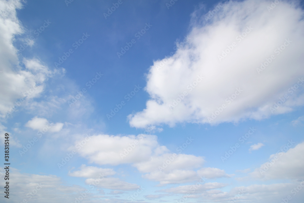 Fototapeta premium background of white fluffy cumulus clouds