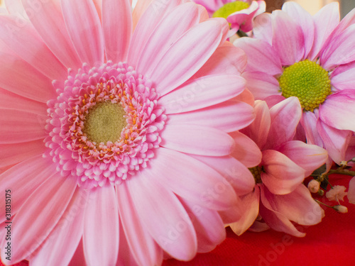 Close up picture of pink flowers