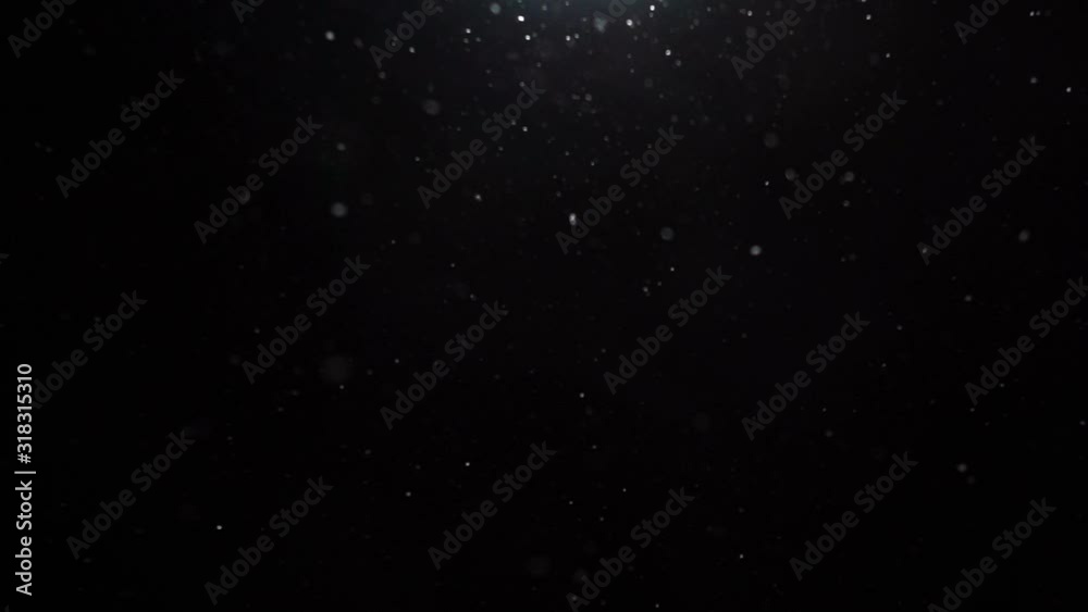 Falling realistic natural snowflakes from top to bottom, calm snow, shot on black background, matte, wide angle, animation with start and end, isolated, perfect for digital composition Falling realistic natural snowflakes from top to bottom, calm snow, shot on black background, matte, wide angle, animation with start and end, isolated, perfect for digital composition