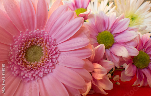 Close up picture of pink flowers