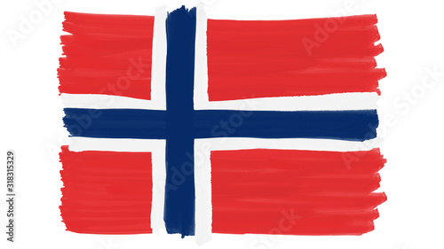 Flag symbol of Norway painted, vector