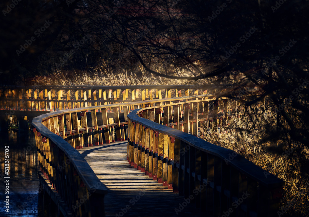 Wooden bridge in the wetlands of Las Tablas de Daimiel Wooden bridge in the wetlands of Las Tablas de Daimiel