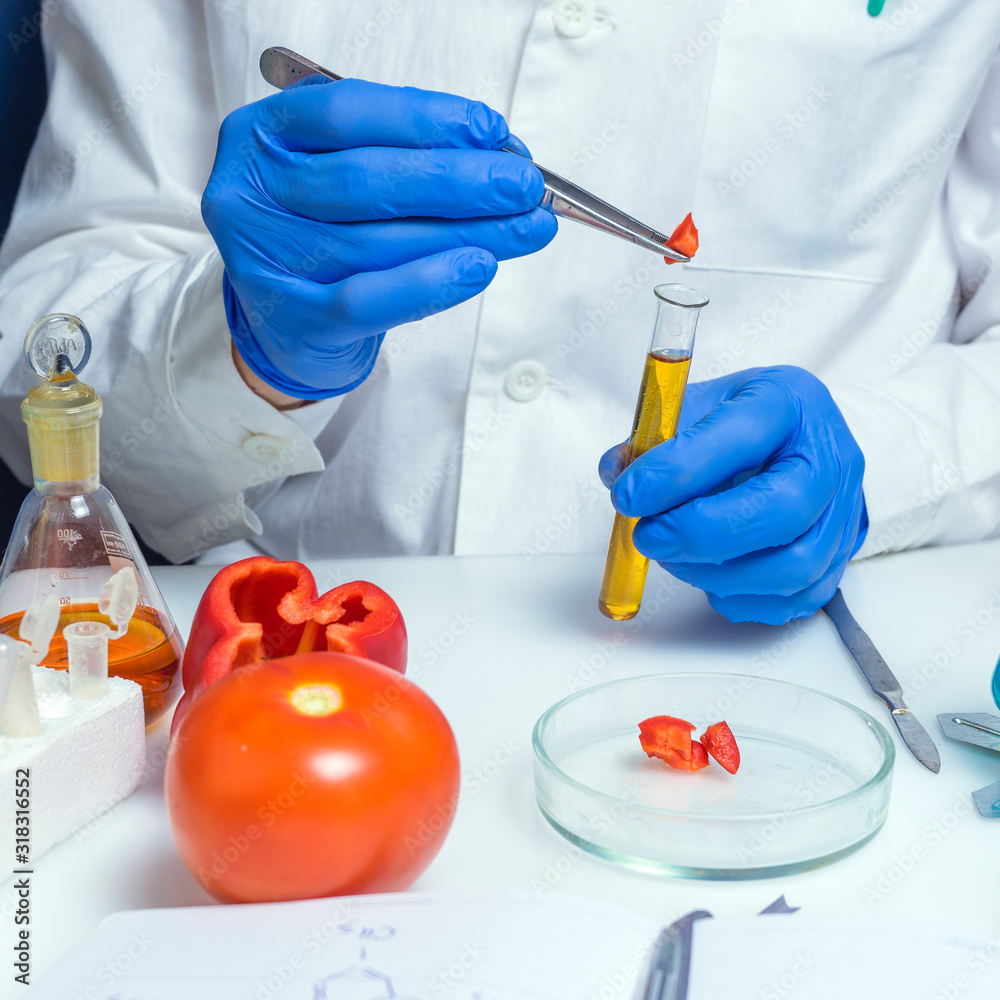 Quality control food safety inspector working in a laboratory Quality control food safety inspector working in a laboratory