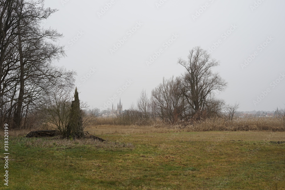 Ländliche Graslandschaft mit Bäumen in Potsdam-Mittelmark Ländliche Graslandschaft mit Bäumen in Potsdam-Mittelmark