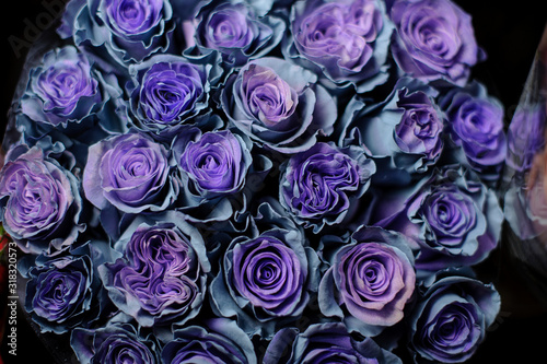 Beautiful bouquet of blue roses in the transparent wrapping paper