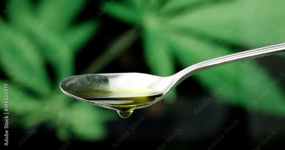 CBD Hemp oil, Hand pouring Cannabis oil on spoon against Marijuana plant. Alternative Medicine. 4k slow motion CBD Hemp oil, Hand pouring Cannabis oil on spoon against Marijuana plant. Alternative Medicine. 4k slow motion