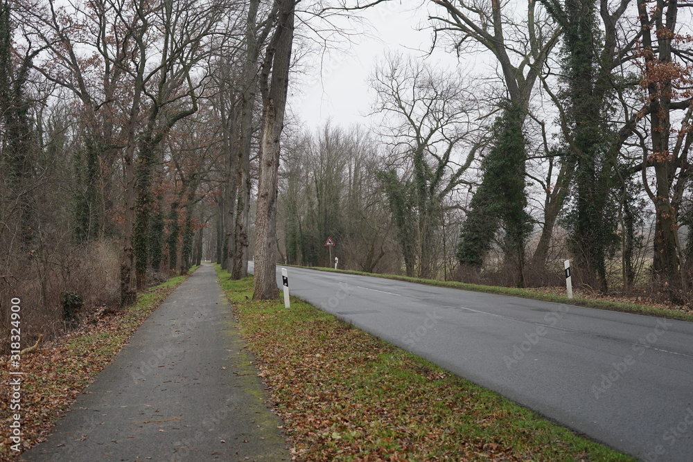 Fototapeta premium Leere Landstraße in Brandenburg