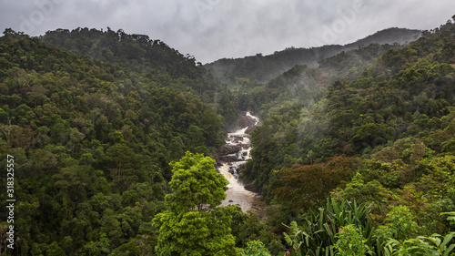 Rain forest landscape, Ranomafana, Madagascar