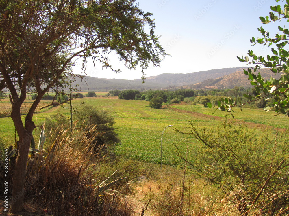 Desde el cerro Desde el cerro