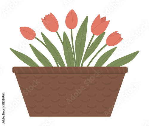 Vector illustration of flower bed. Garden decorative basket like flowerbed with tulips. Beautiful spring and summer plants, herbs and flowers..