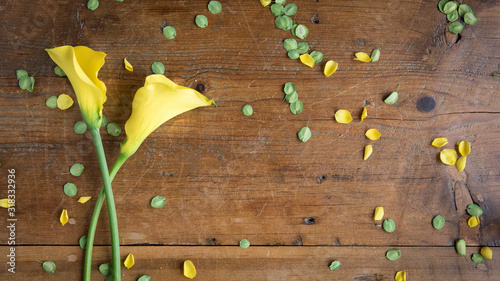 Fotografija Two  long-stemmed yellow calla lilies on a vintage pine table top for a banner w