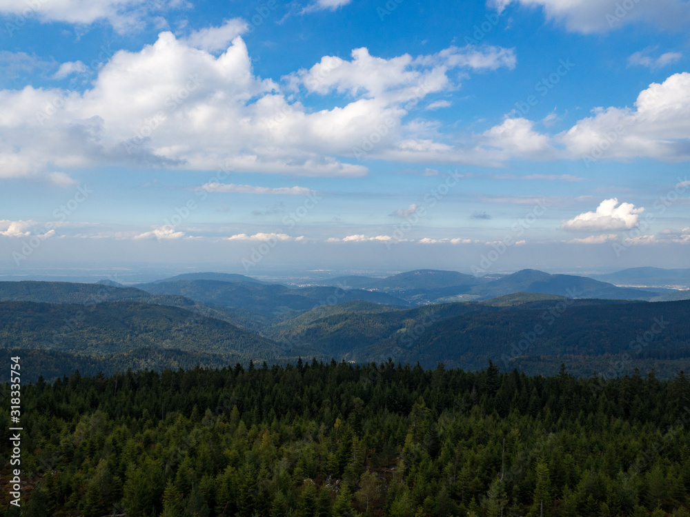 Scenic view on the forest and mountain from the top of the Badener Höhe Tower