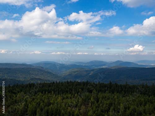 Scenic view on the forest and mountain from the top of the Badener Höhe Tower