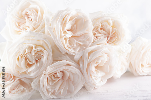Fototapeta Naklejka Na Ścianę i Meble -  Beautiful white  roses flowers .