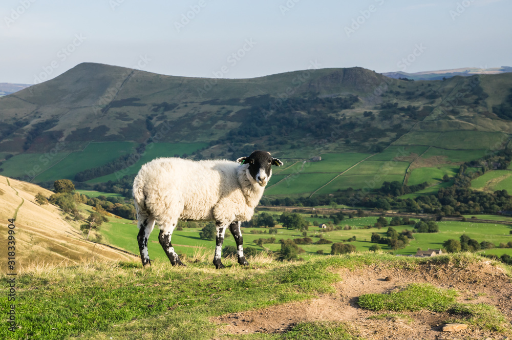 Fototapeta premium View of the Edale valley from The Nab in Peak District National Park Derbyshire England United Kingdom UK